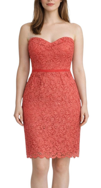 Jenny Yoo Romantic Paprika Lace Strapless Sheath Dress 10 Cocktail Formal $325