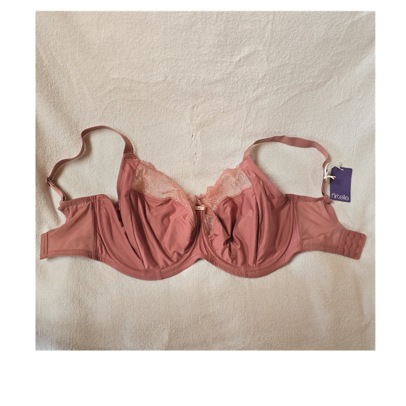 Flirtelle Emilie Full Cup Bra 32N Rose Lace Mesh Underwired Floral Bow NWT