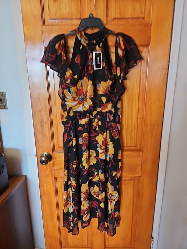 ECI New York Women’s Floral LINED DRESS size 6 NWT