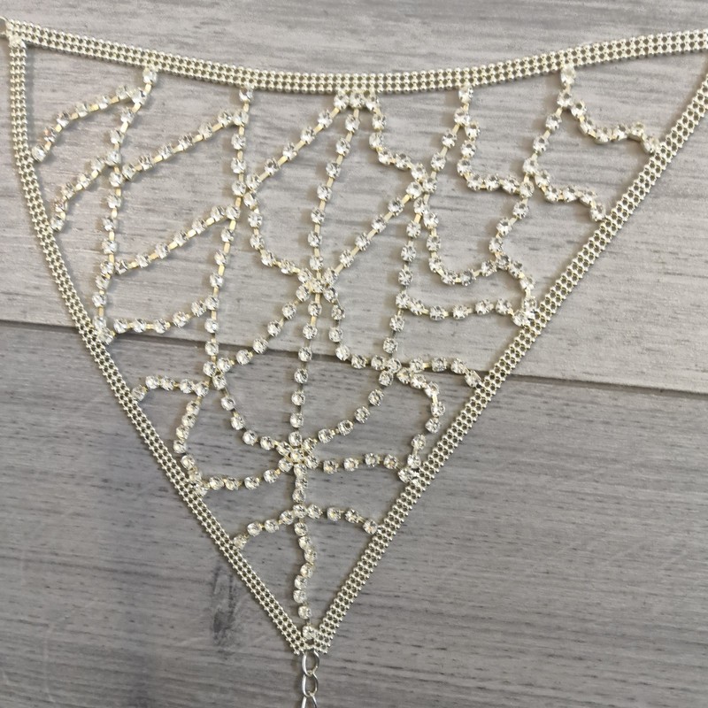 BNWOT Silver Metal & Diamante G String Thong One Size gallery