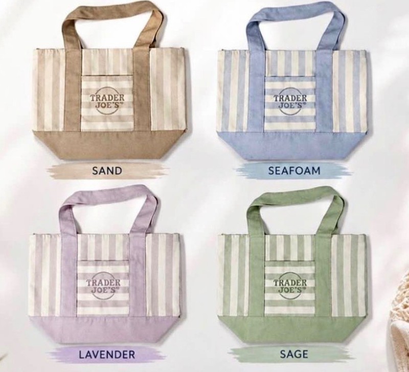 NWT Trader Joe’s Mini Canvas Stripped Bag