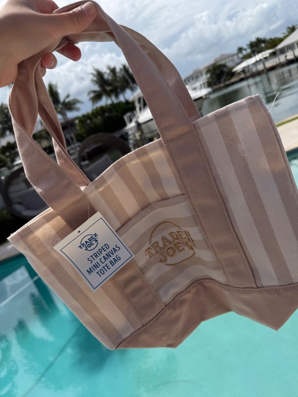Limited Edition Trader Joe’s Mini Summer Canvas Tote