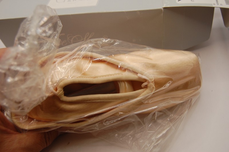 NIB CHACOTT Adult Veronese II Pointe Shoes 21 cm C M Euro not returnable Japan gallery