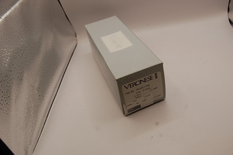 NIB CHACOTT Adult Veronese II Pointe Shoes 21 cm C M Euro not returnable Japan gallery
