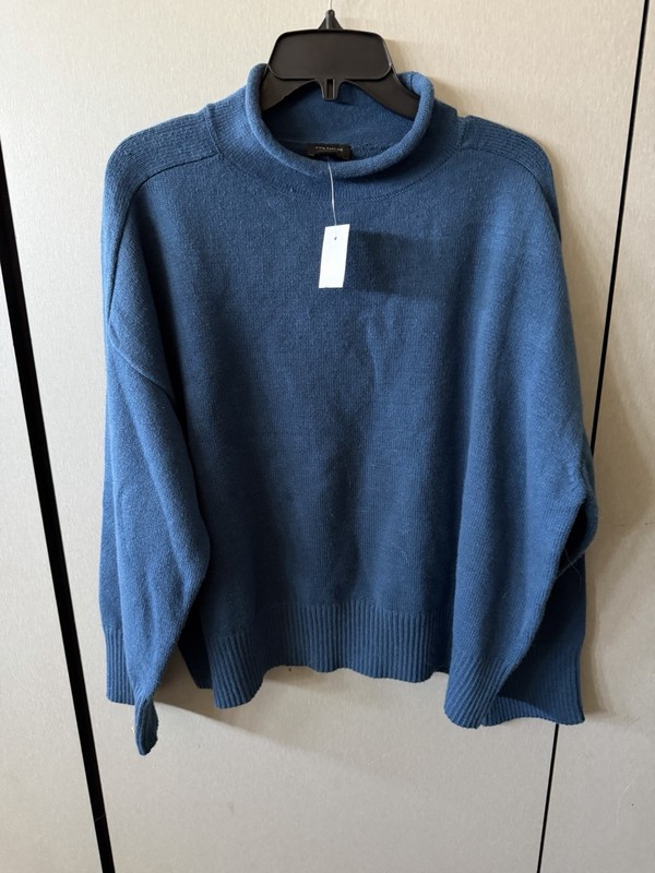 Ann Taylor LOFT Blue Long Sleeve Sweater Women’s Size Xl
