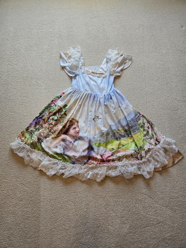 Neverland Lolita The Song of The Lark Sweet Lolita Dress US Women’s Size 12