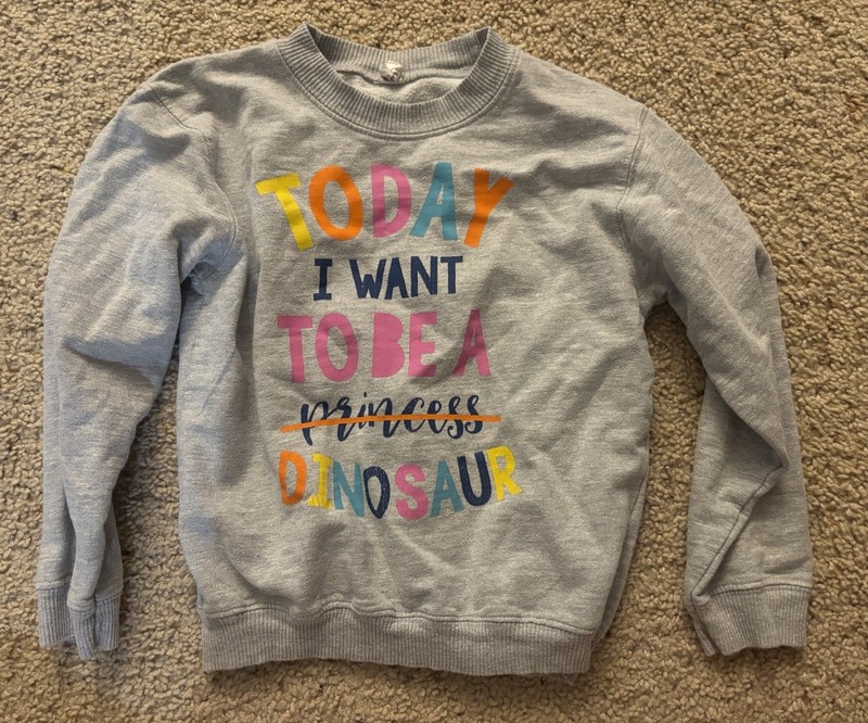31 Items - Size 5T Girls Clothing Bundle Lot gallery
