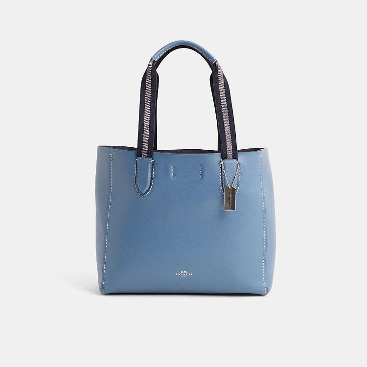 Coach Derby Tote Women’s Handbag – Soft Leather – Silver/Mist (F58660) Mint