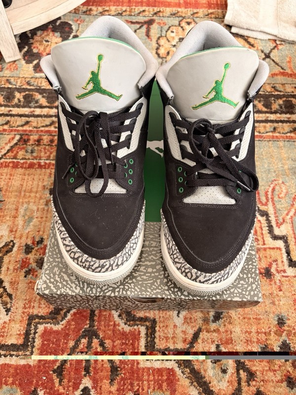 Air Jordan 3 Retro “Pine Green” — Size 15