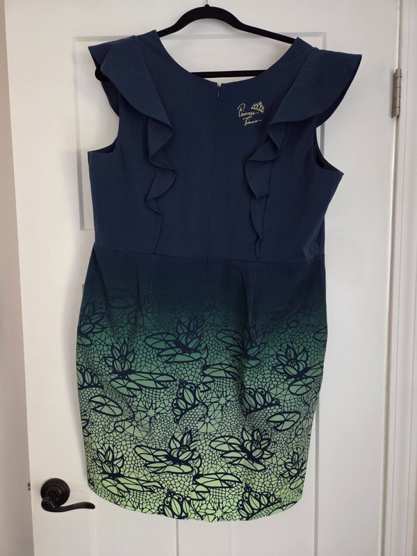 Disney Princess Tiana Dress Shop Adult XL gallery