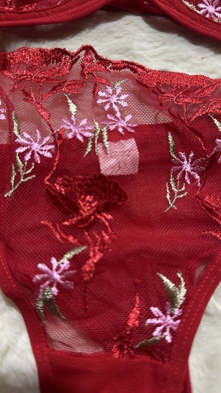 Red Lace Mesh Bra & Panties Set, Floral, Size L, New gallery