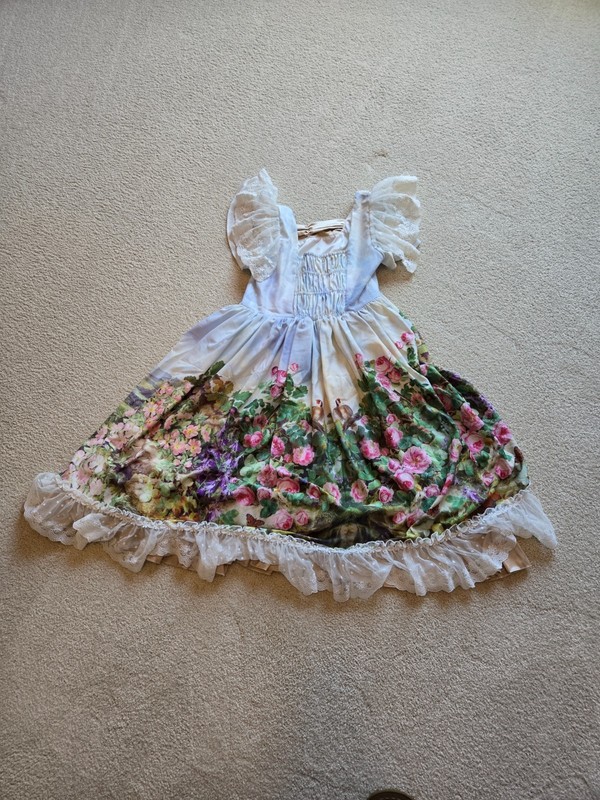 Neverland Lolita The Song of The Lark Sweet Lolita Dress US Women's Size 12 gallery