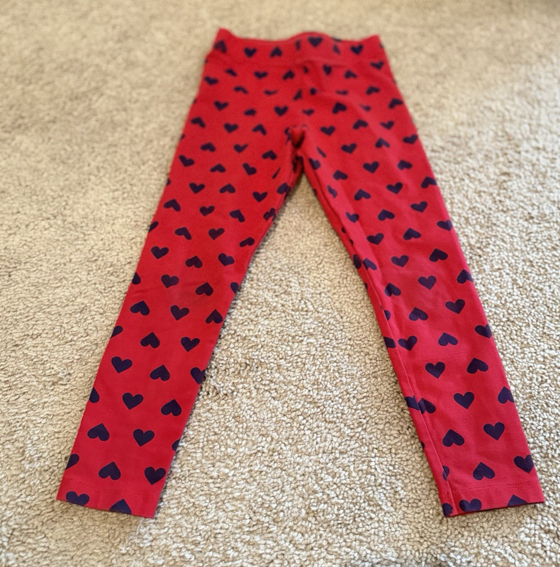 Primary Girls Clothing Lot of 19 Tops Leggings, Dresses, PJs Size 4-5 EUC gallery