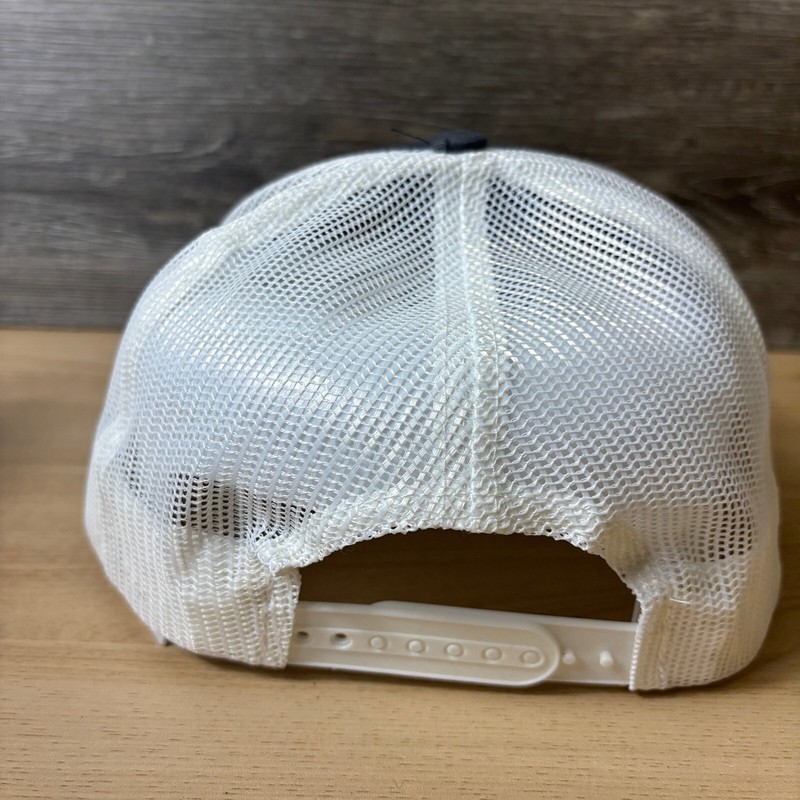 Asian Food Solutions Hat Cap Snap Back Gray Comida Vida Adjustable gallery