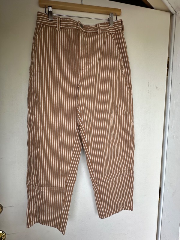 Everlane The Utility Barrel Pant Size 10 Tan White Stripe gallery