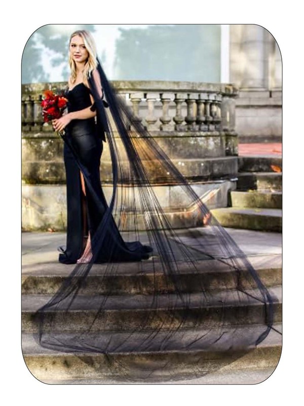 Simple Cathedral Bridal Wedding Veil 118'’ Long 1 Tier/1T Veils for Brides Cl... gallery