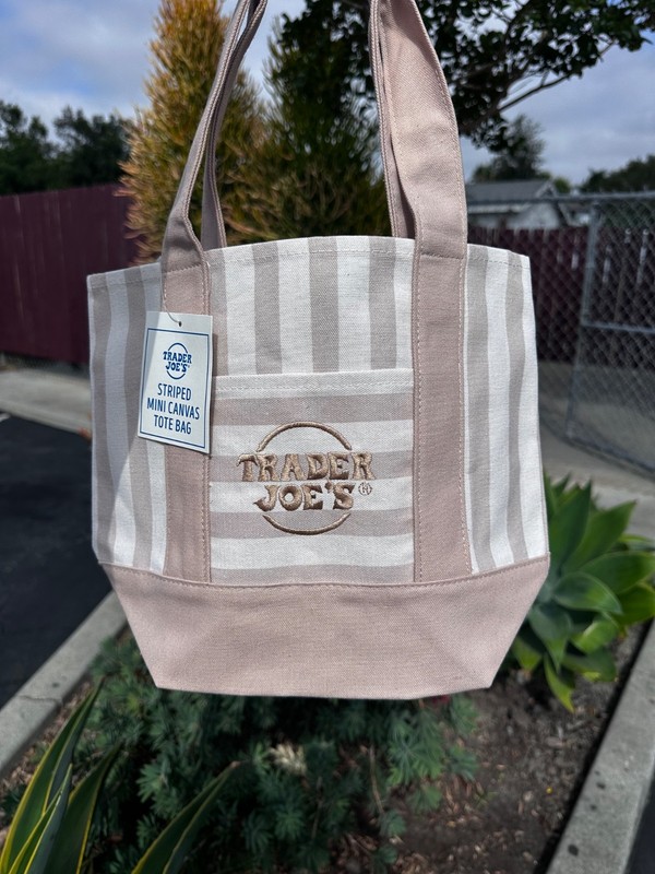Trader Joe’s Mini Tote Bag Striped Brown
