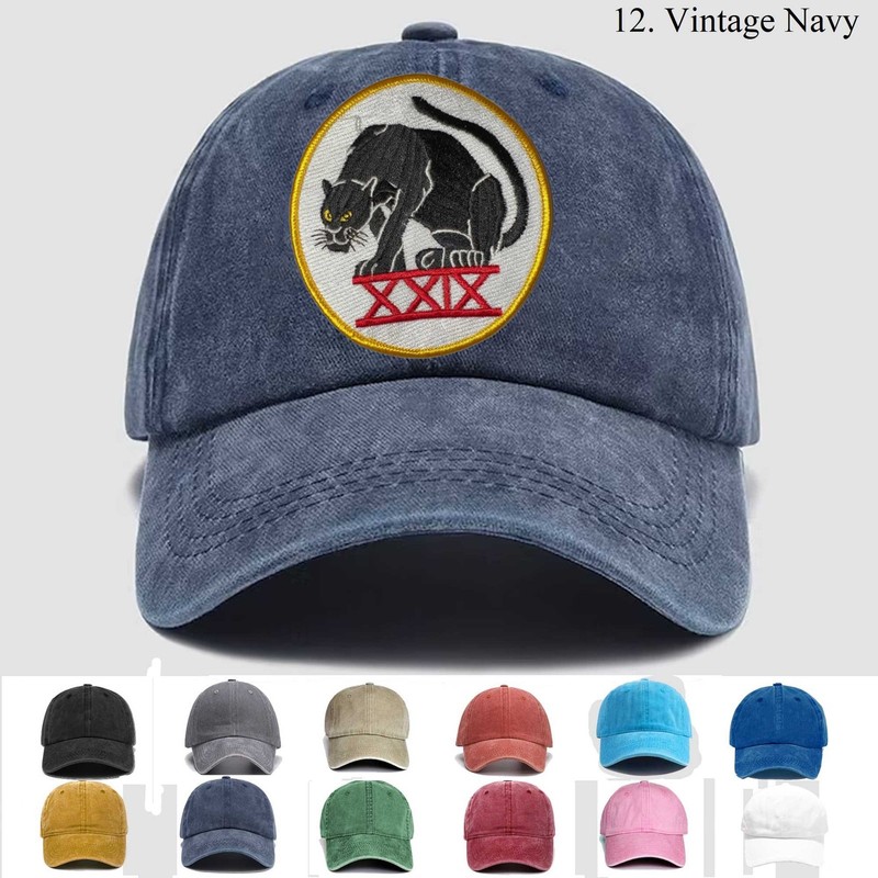 Customized Embroidered Hat Usaf Us Air Force Academy 29th Cadet Squadron, Gift