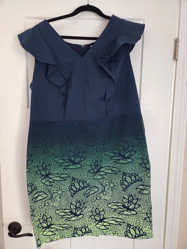 Disney Princess Tiana Dress Shop Adult XL gallery