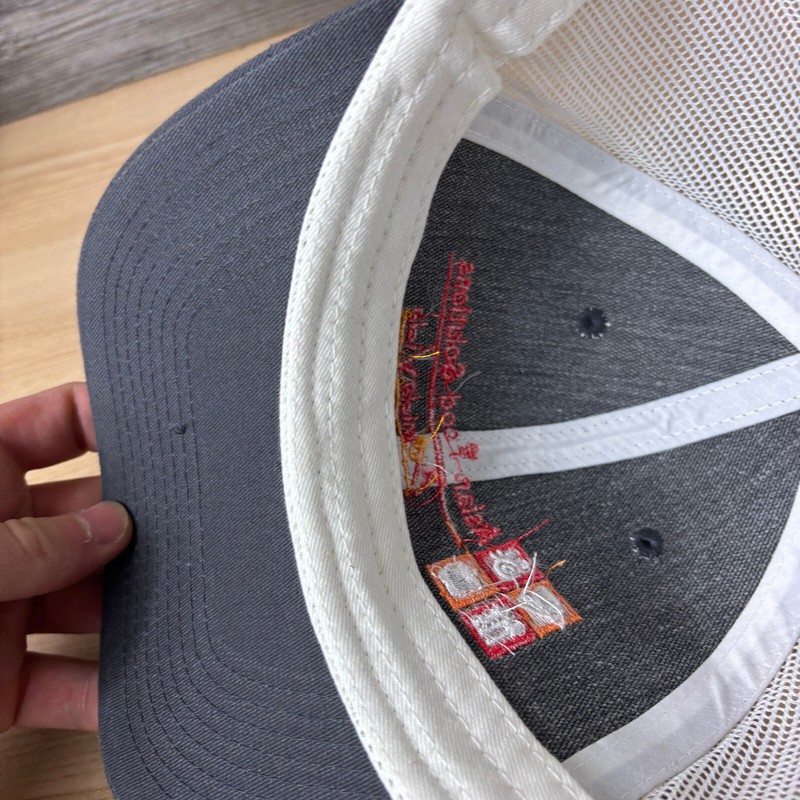 Asian Food Solutions Hat Cap Snap Back Gray Comida Vida Adjustable gallery