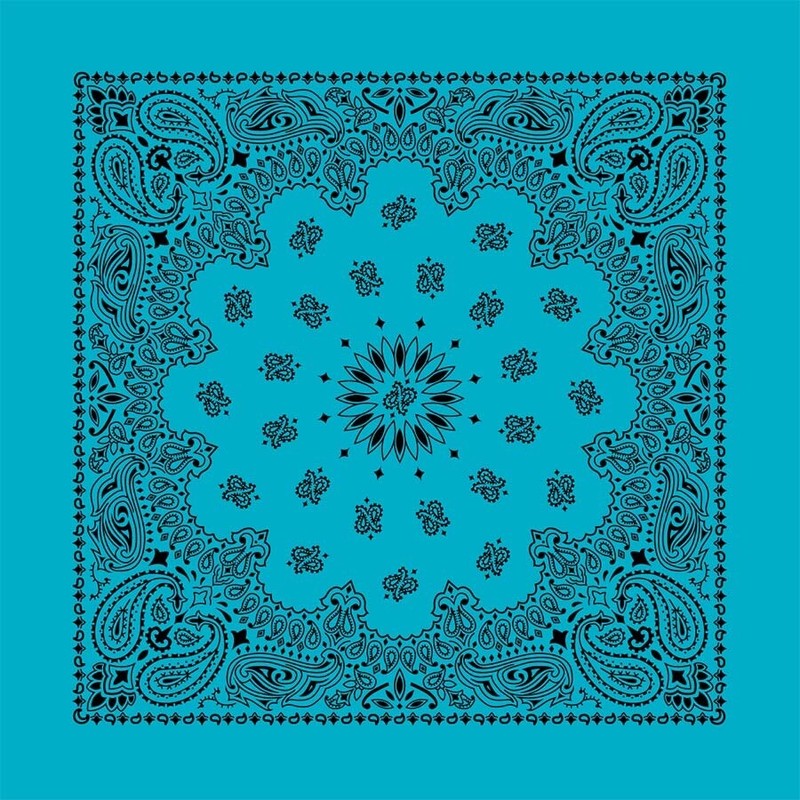 Contemporary Turquoise Paisley 22×22 Bandanna