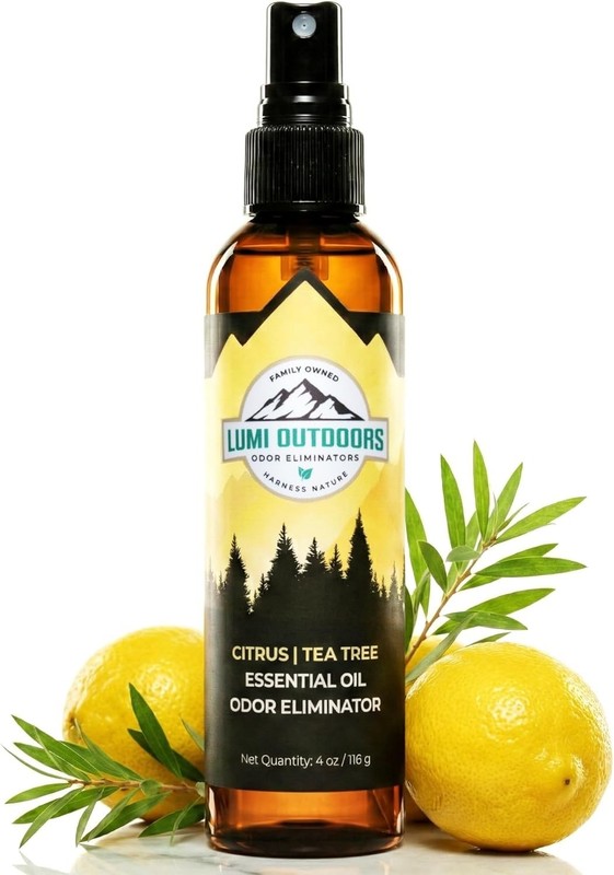 Lumi Outdoors Shoe Deodorizer Spray Citrus Tea Tree Odor Eliminator Freshener