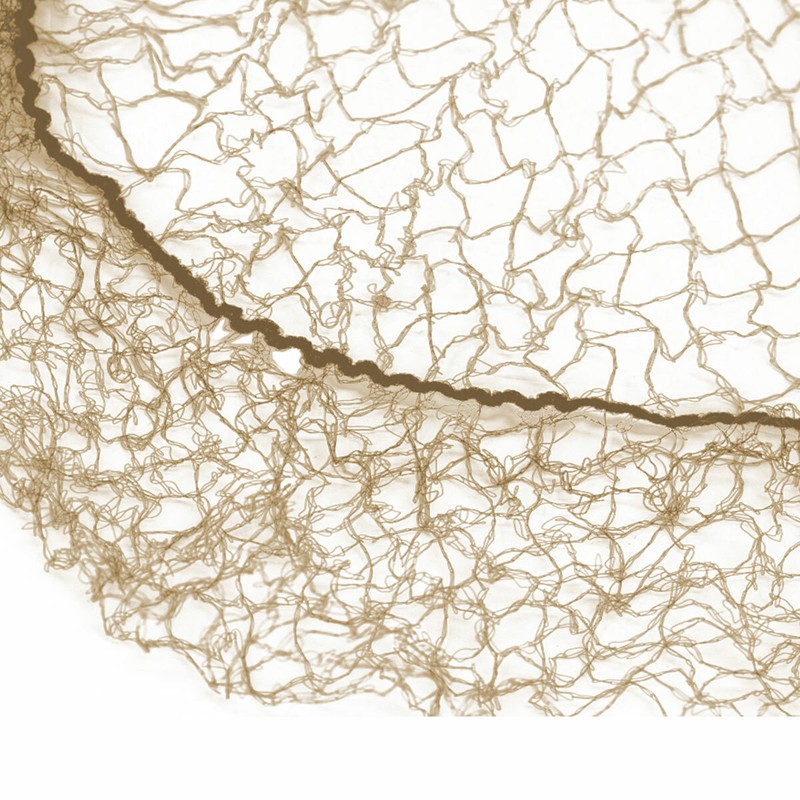 Valentina Invisible Hair Nets, Fits Adult and Youth (Pack of 144) gallery