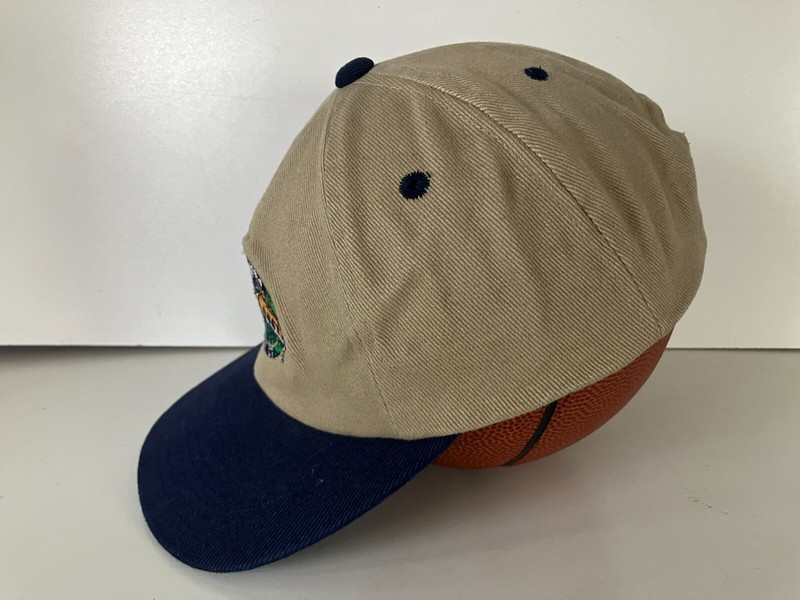 Vtg PACIFIC COAST FEATHER CO Brown GOOSE DOWN COMPANY HAT Seattle Baseball Cap gallery