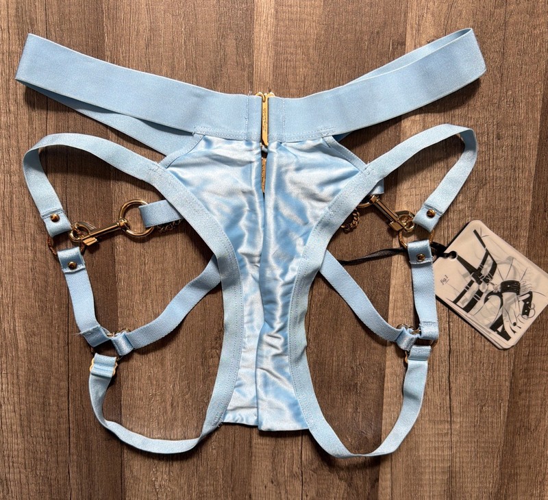 NWT Honey Birdette KUKURO Brief Baby Blue