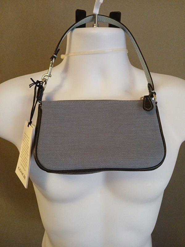 COACH NOLITA 19 IN COLORBLOCK W HORSE & CARRIAGE (COACH C8327) SILVER/BLUE NWT gallery
