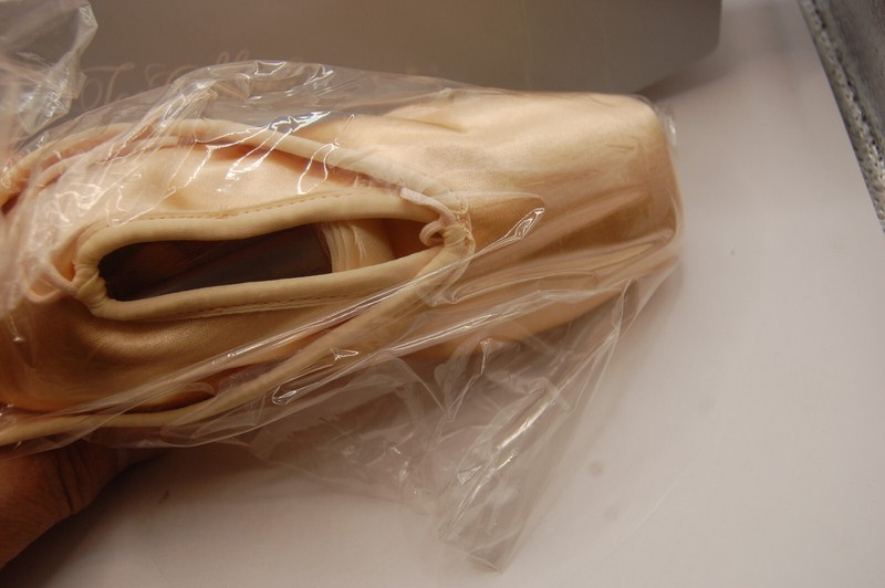 NIB CHACOTT Adult Veronese II Pointe Shoes 21 cm C M Euro not returnable Japan gallery