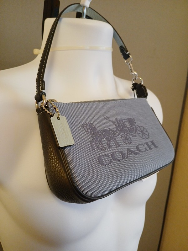 COACH NOLITA 19 IN COLORBLOCK W HORSE & CARRIAGE (COACH C8327) SILVER/BLUE NWT gallery